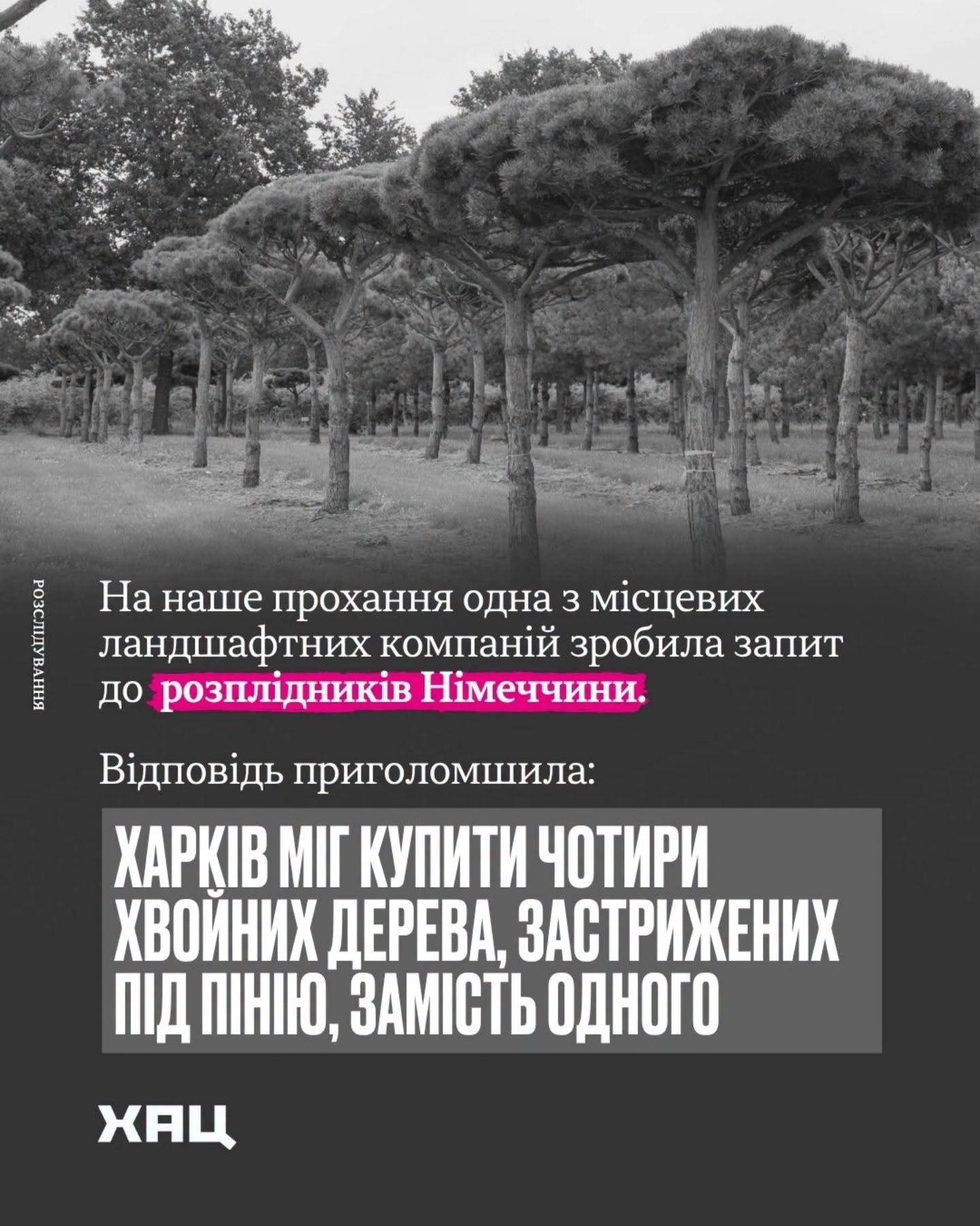 Благоустройство возле "Градусника": прокуратура проверяет информацию о возможных растратах.