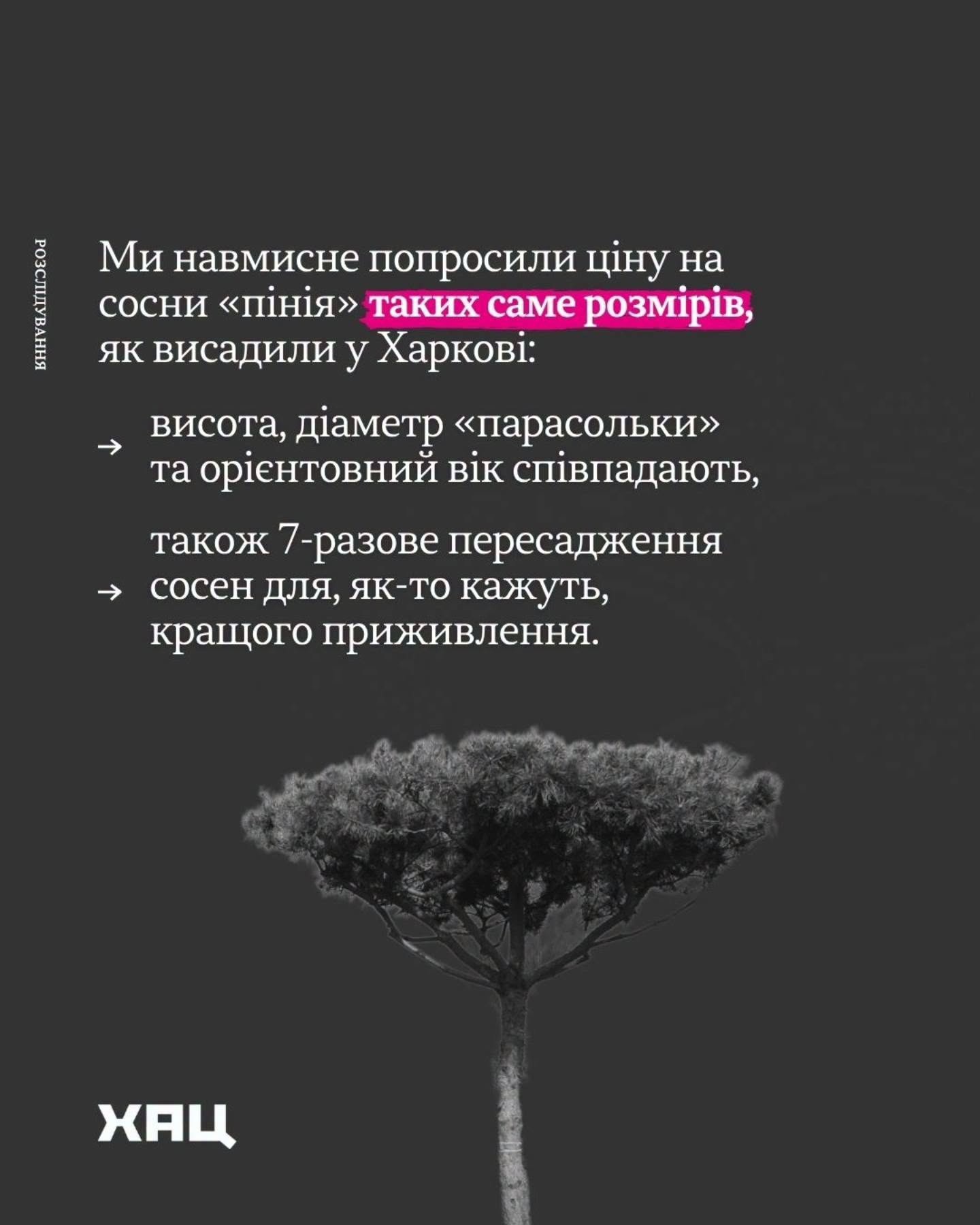 Благоустройство возле "Градусника": прокуратура проверяет информацию о возможных растратах.