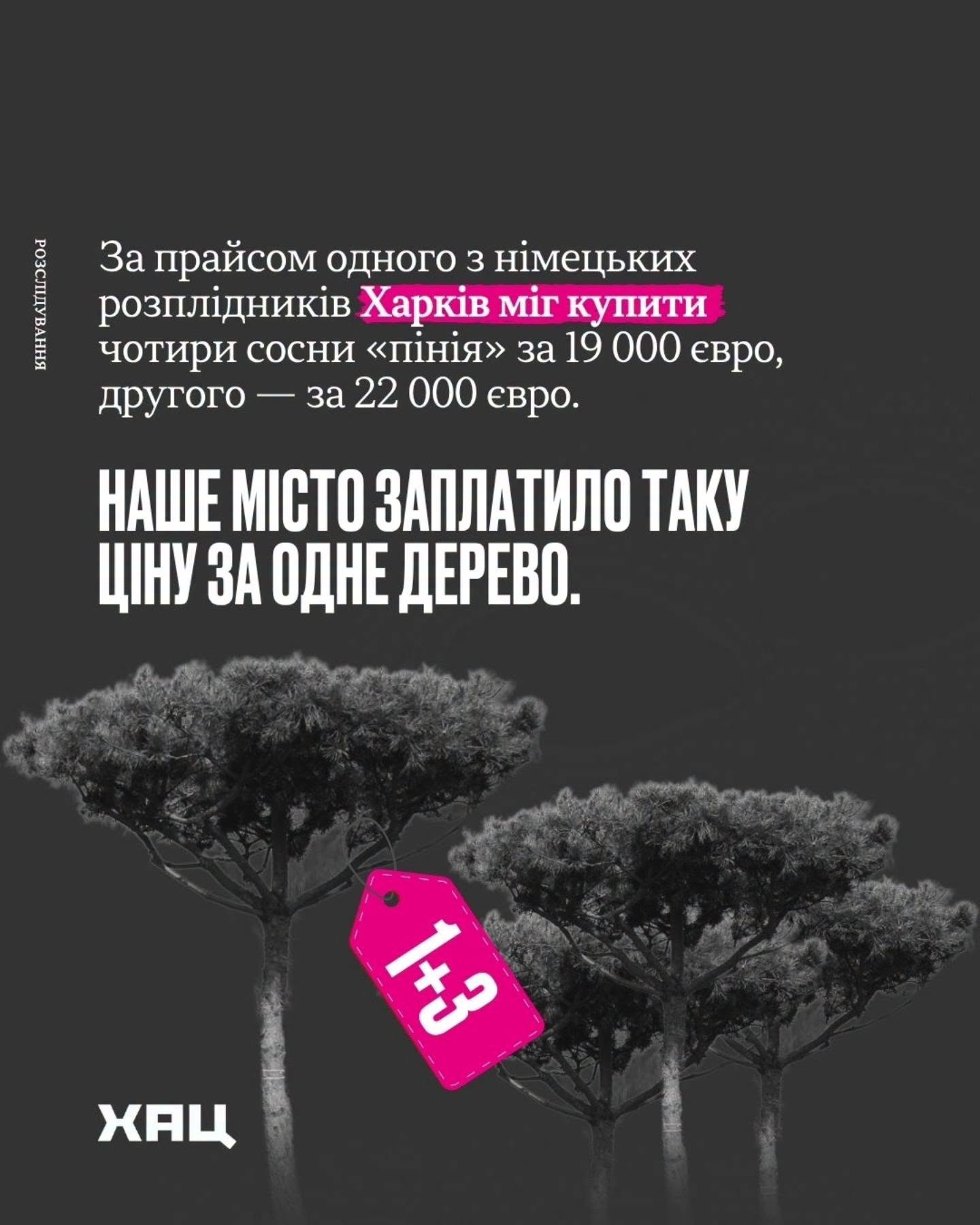 Благоустройство возле "Градусника": прокуратура проверяет информацию о возможных растратах.