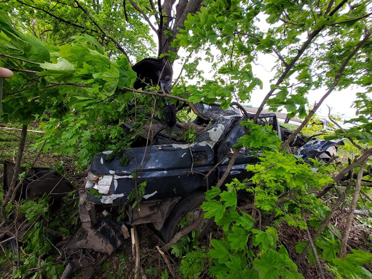 Під Харковом автомобіль вилетів у кювет і врізався у дерева.