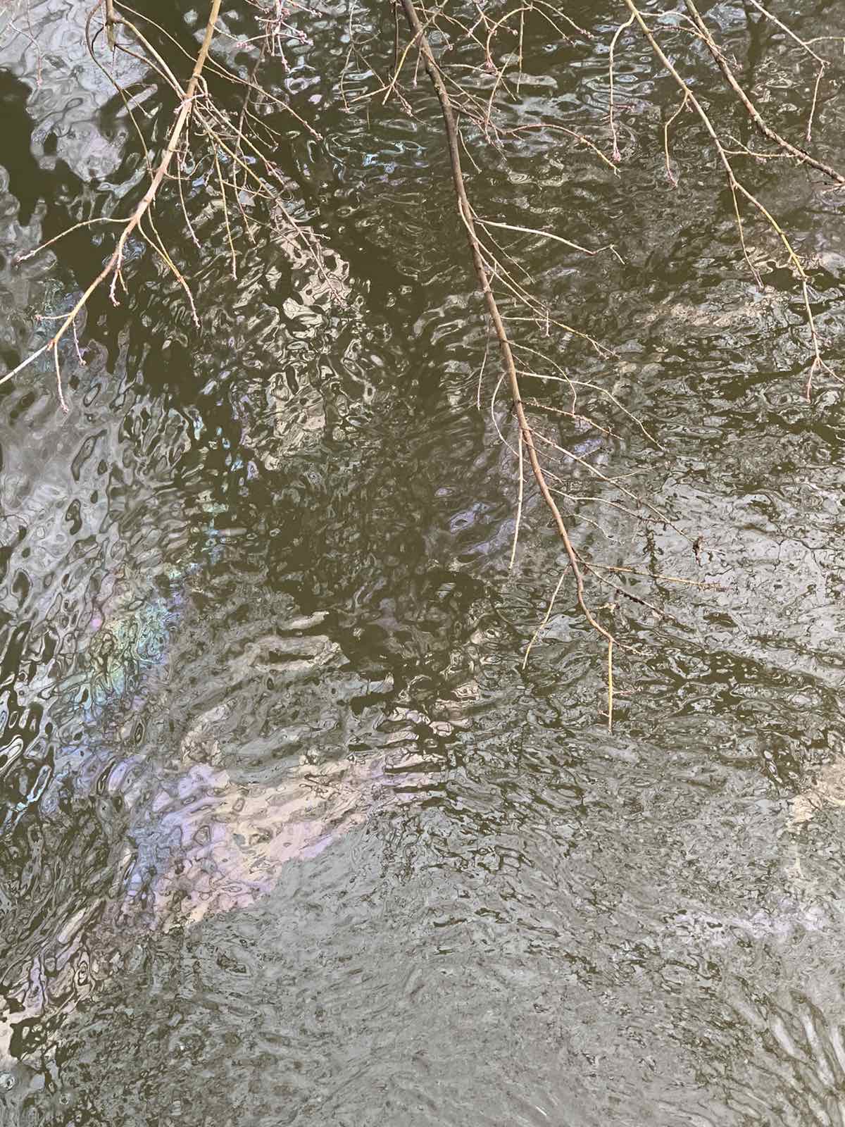 В Харькове из-за обстрела нефтебазы возможна экологическая катастрофа.