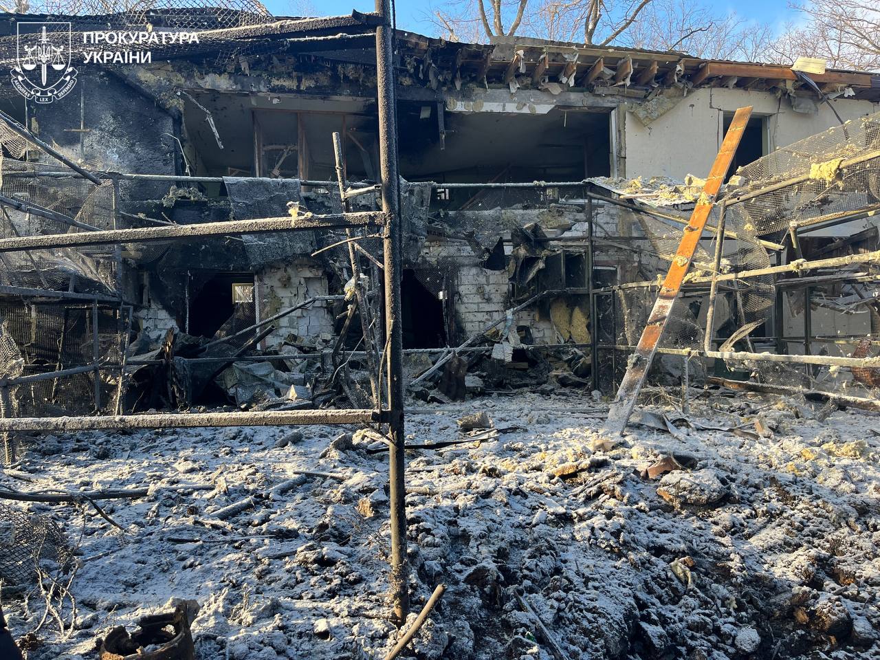 РФ обстреляла экопарк под Харьковом: ранена волонтерка, погибли пернатые фото 2 1