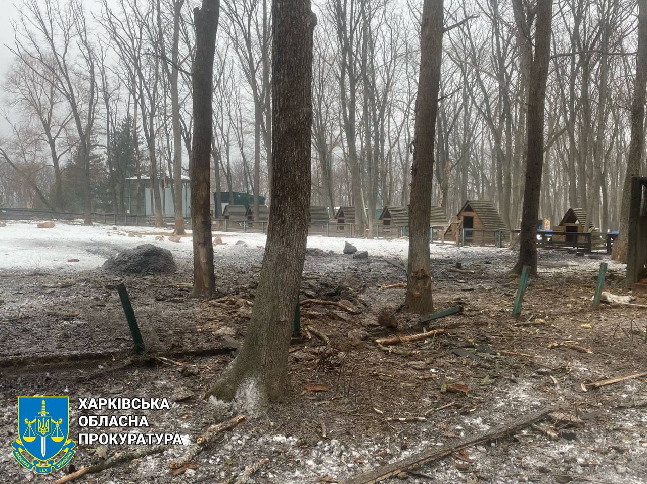 Экопарк под Харьковом атаковал беспилотник, погибли животные.