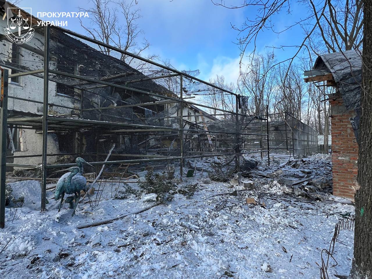 РФ обстреляла экопарк под Харьковом: ранена волонтерка, погибли пернатые фото 4 3