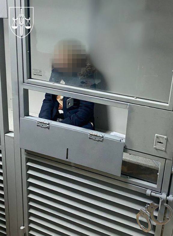 З Німеччини екстрадували харків'янку, яку підозрюють у торгівлі немовлятами.