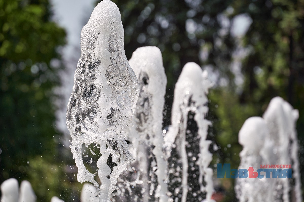 В саду Шевченко включили фонтан.
