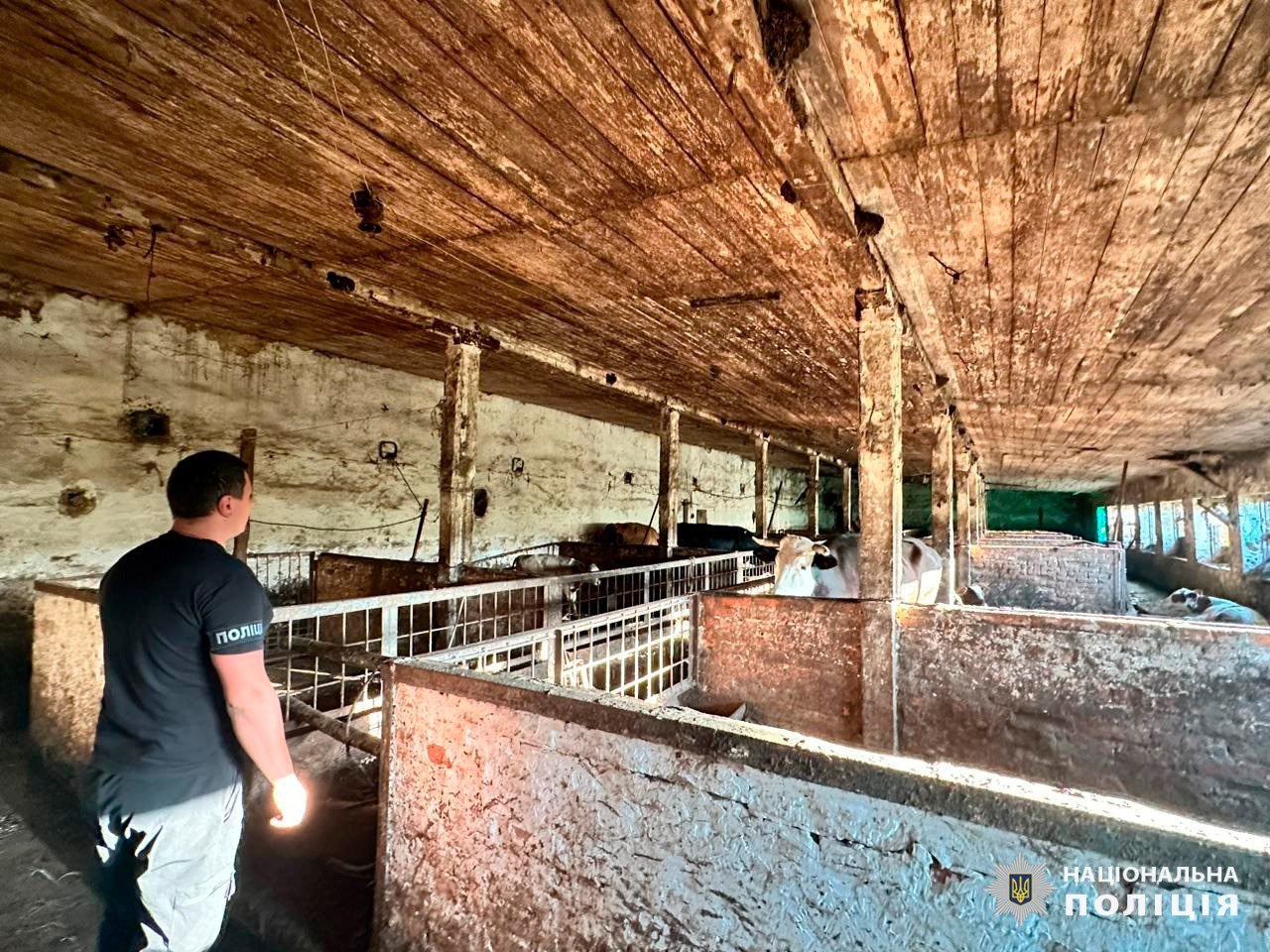 Под Харьковом фермерша принуждала переселенцев работать за еду.