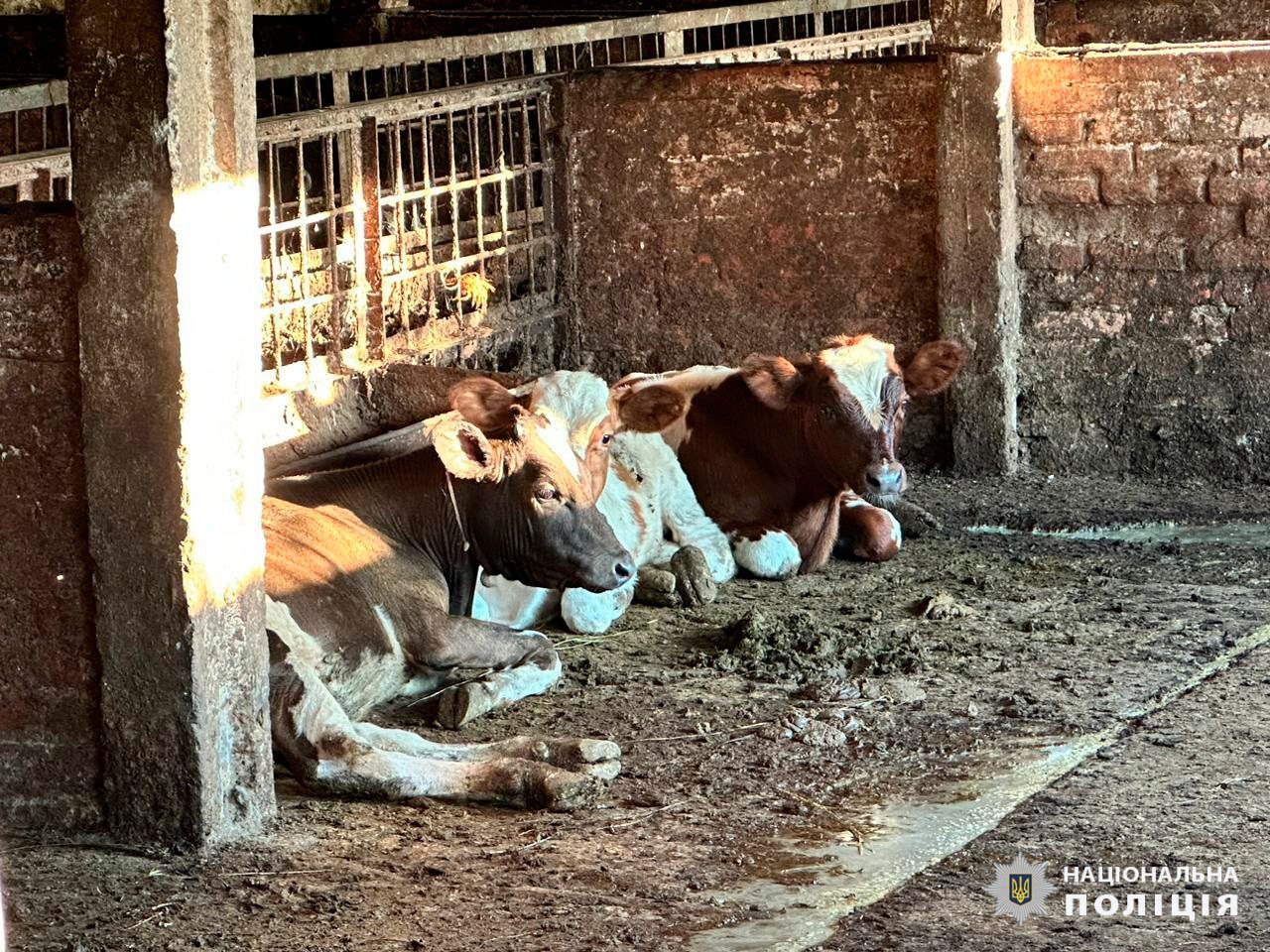 Под Харьковом фермерша принуждала переселенцев работать за еду.