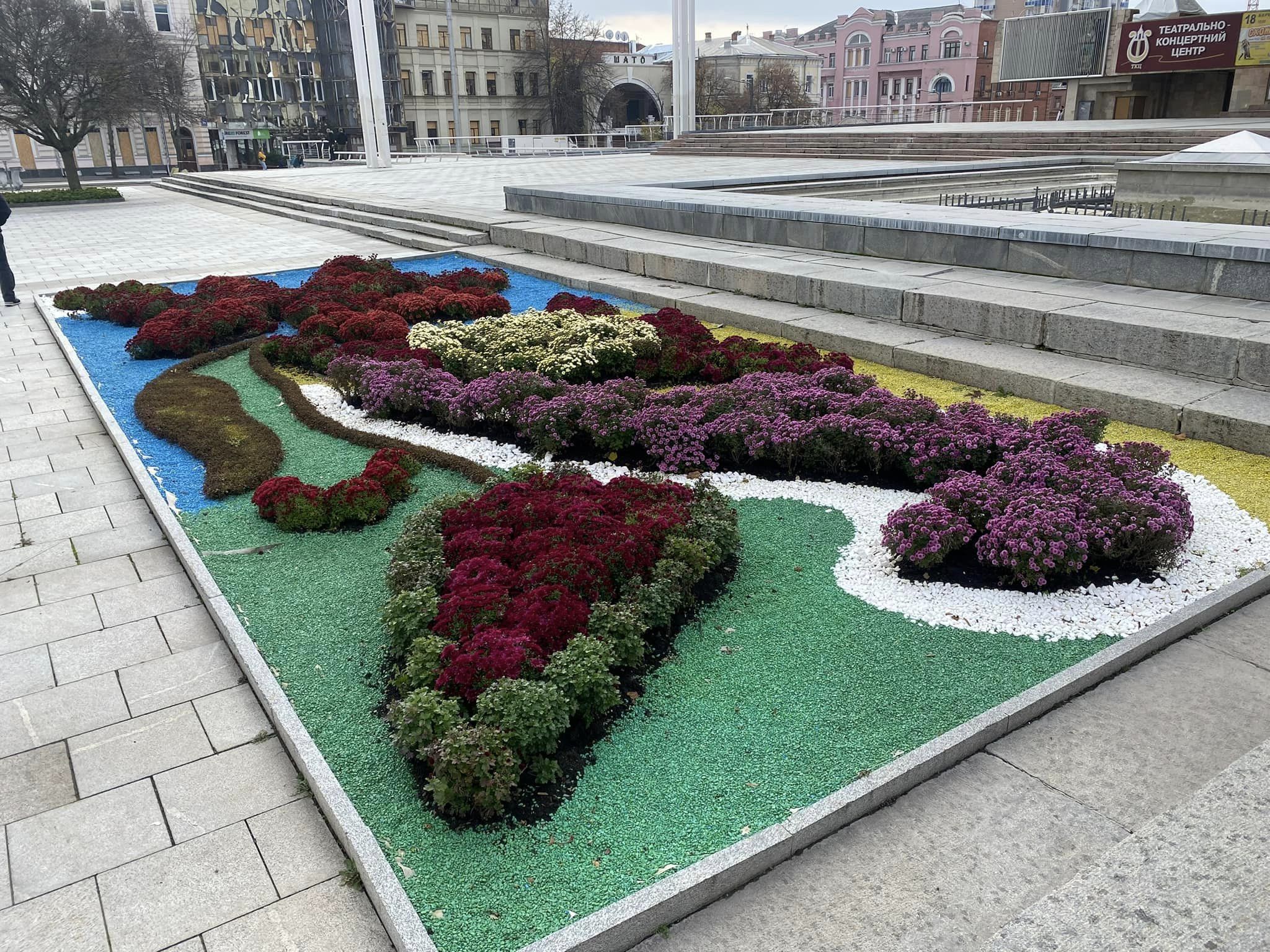 У харківських скверах розквітли хризантеми.