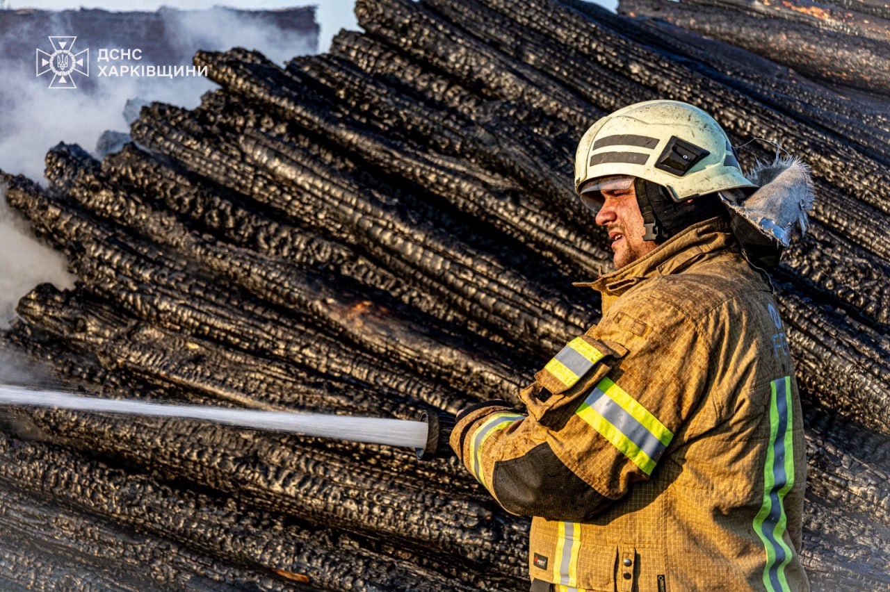 В окрестностях Изюма горят гектары леса.