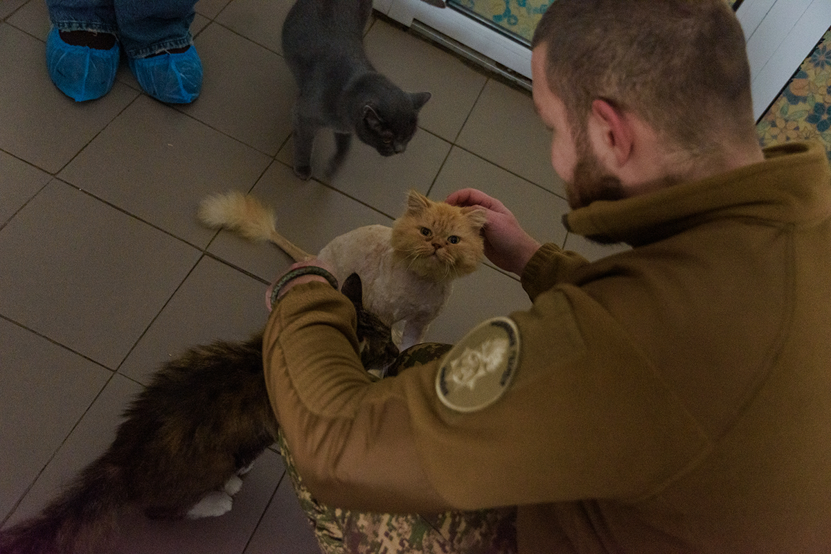 Военные передали в харьковский приют для животных целый микроавтобус теплых вещей.