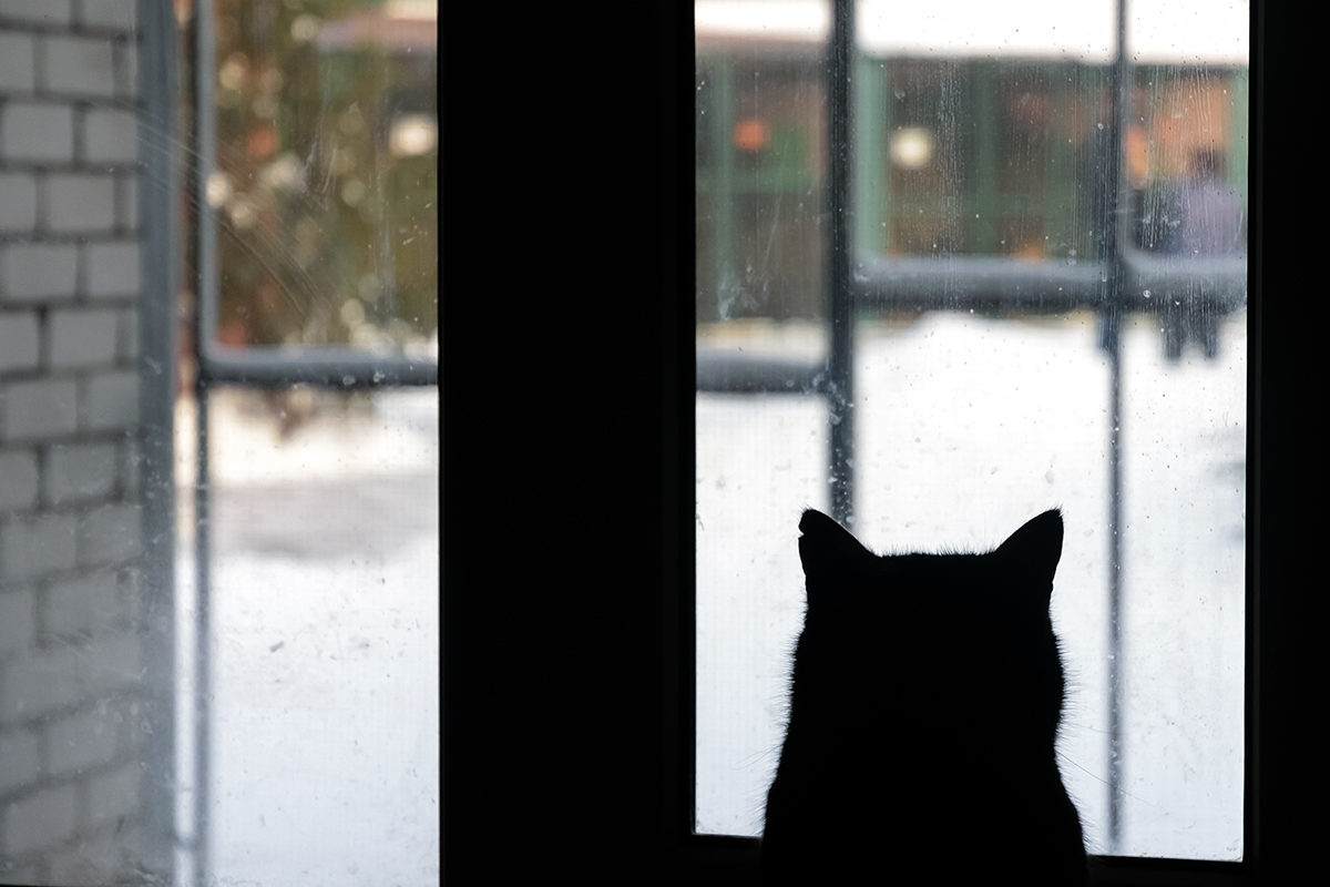 Военные передали в харьковский приют для животных целый микроавтобус теплых вещей.