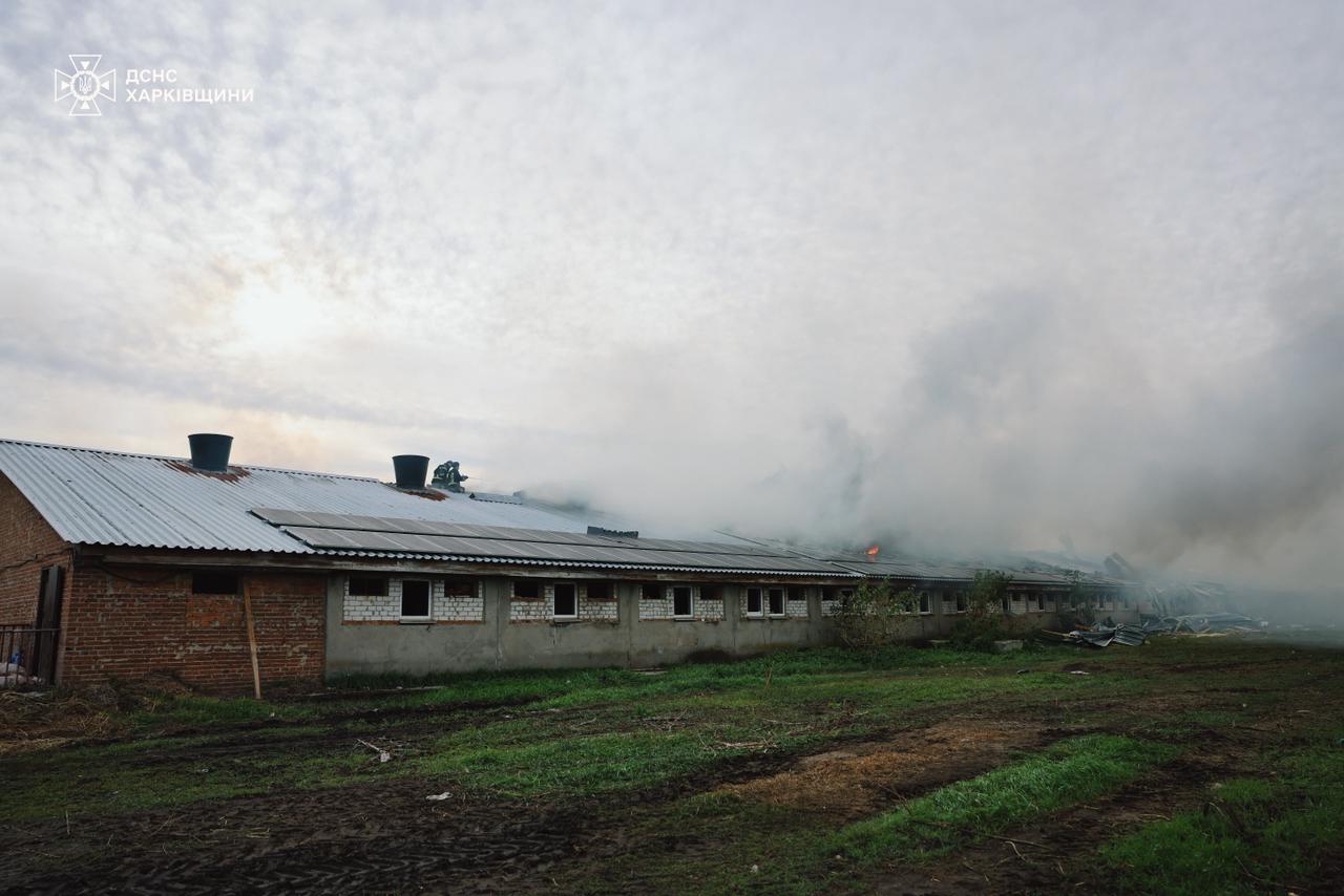 Понад 20 ударів: окупанти обстріляли ферму на Харківщині, загинуло 13 тисяч тварин фото 4 3