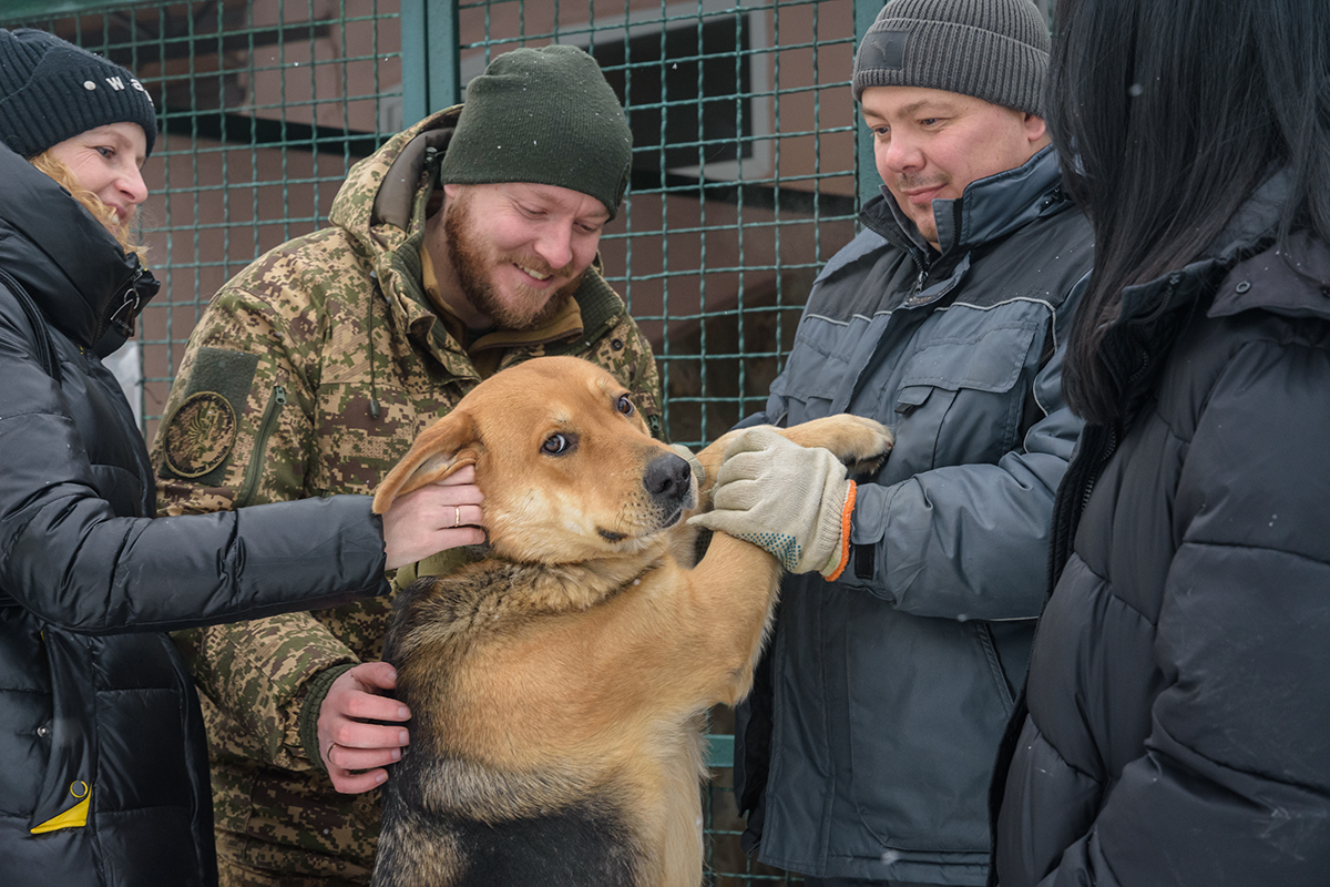 Военные передали в харьковский приют для животных целый микроавтобус теплых вещей.