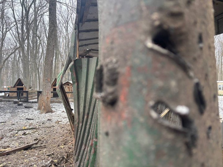 Экопарк под Харьковом атаковал беспилотник, погибли животные.