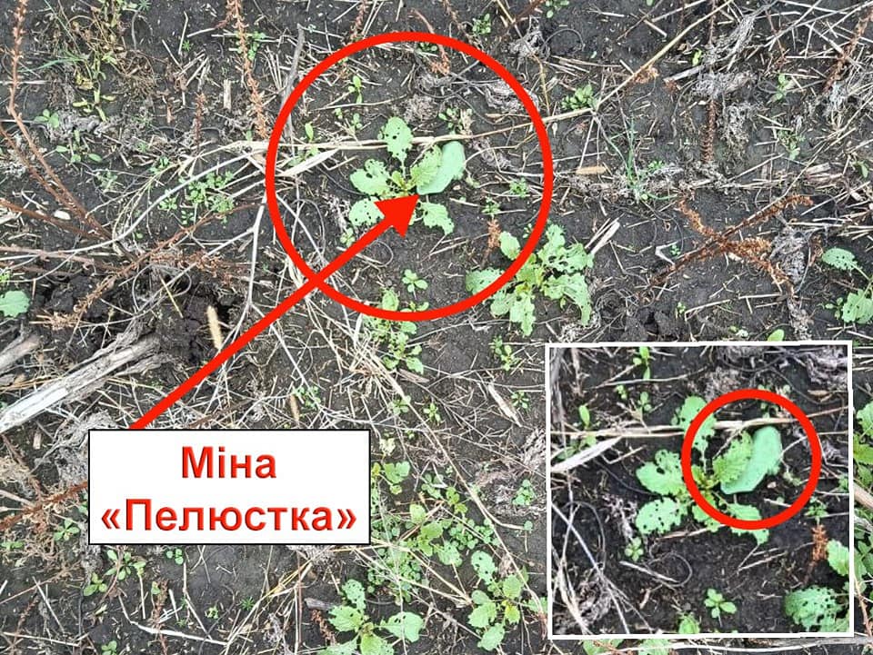 Харьковчан просят не ходить на кладбища.