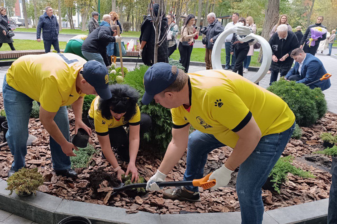 У саду Шевченка з'явилася клумба на честь донорів.