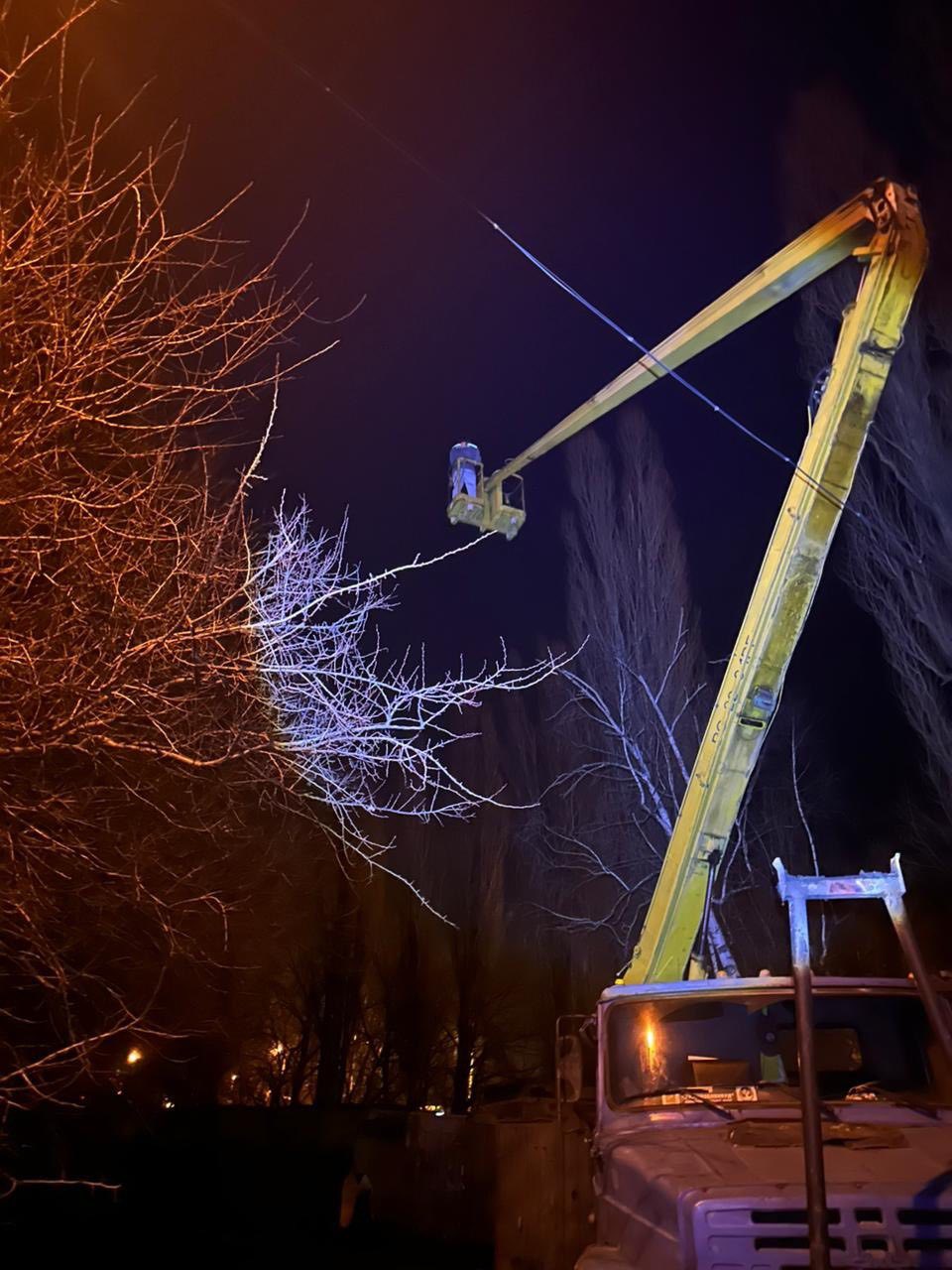 Два дні просиділа на дереві: у Харкові комунальники врятували кішку з висоти 12 метрів.