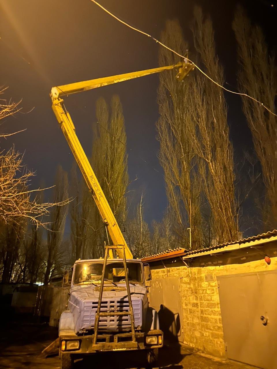 Два дні просиділа на дереві: у Харкові комунальники врятували кішку з висоти 12 метрів.