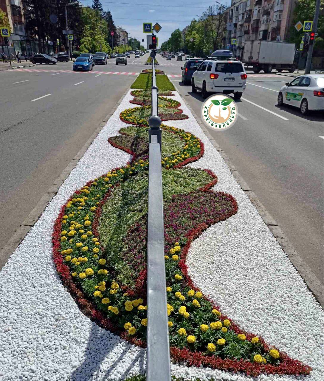 Как украсили проспект Науки в Харькове.