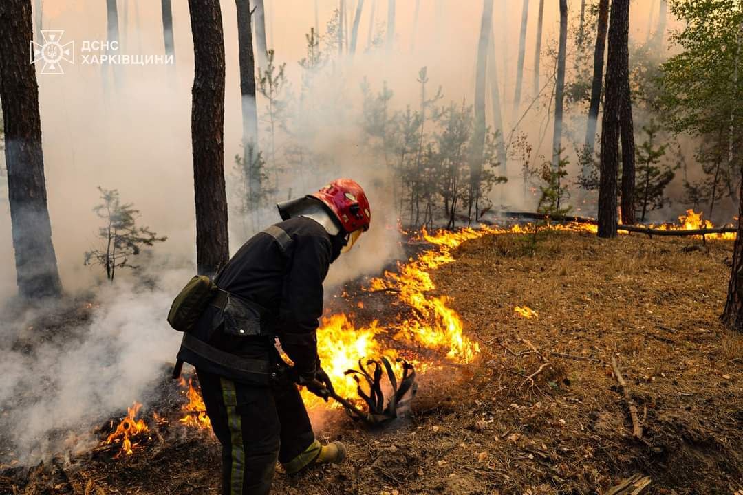 У Безлюдівці — про масштабну лісову пожежу.