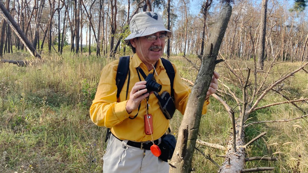 На Журавлівці загинув ліс: у чому причина.