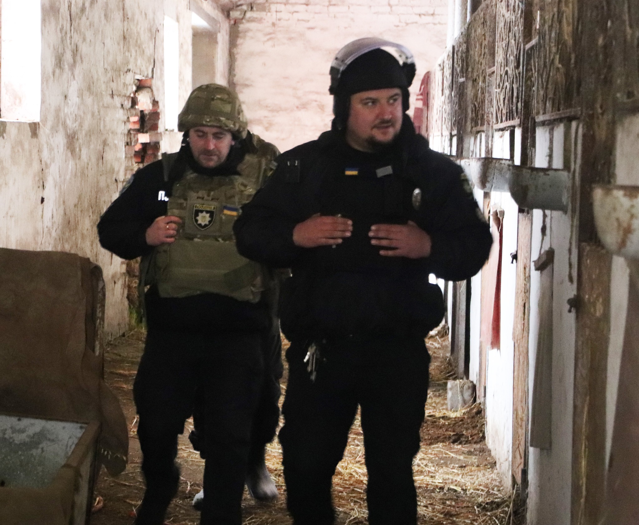 Під Харковом власник кінного клубу кинув коней та поїхав до РФ.