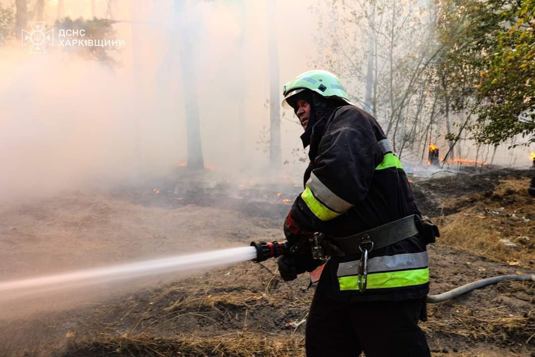 У Безлюдівці — про масштабну лісову пожежу.