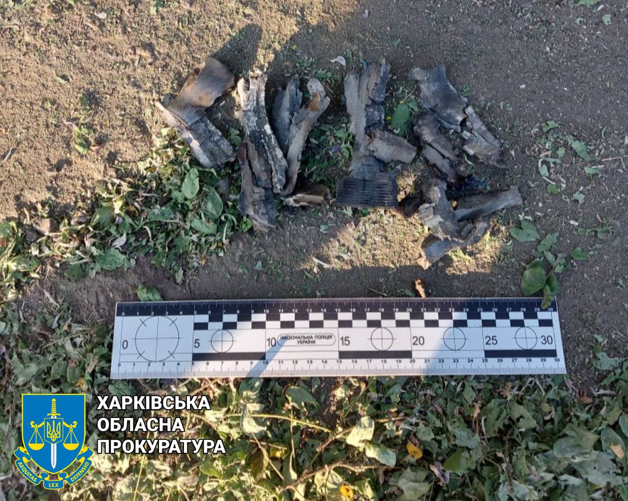 Синегубов рассказал об оперативной обстановке в Харьковской области за минувшие сутки.