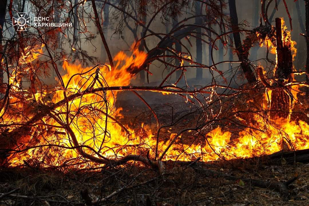 У Безлюдівці — про масштабну лісову пожежу.