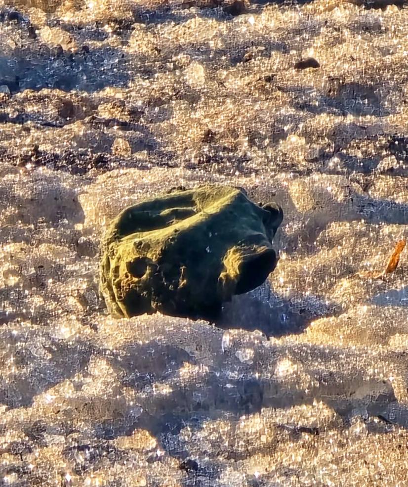 На Харківщині окупанти маскують дистанційно скинуті міни під сміття.