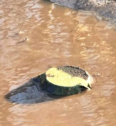 На Харківщині окупанти маскують дистанційно скинуті міни під сміття.