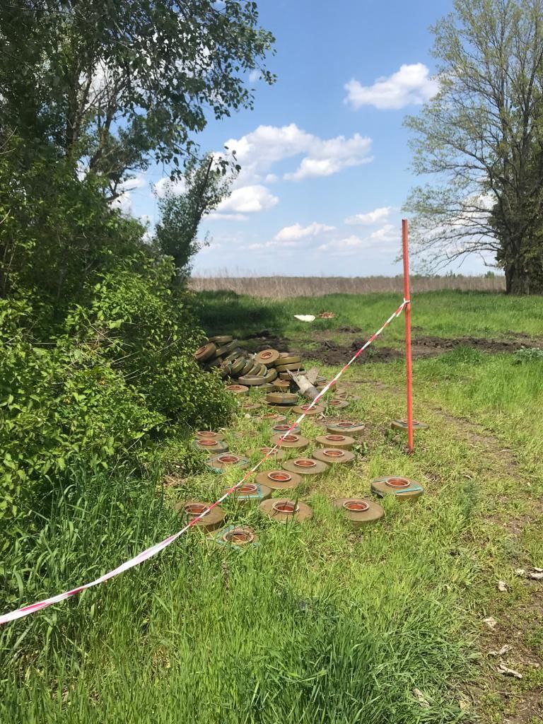 В Чугуевском районе обезвредили рекордное количество мин.