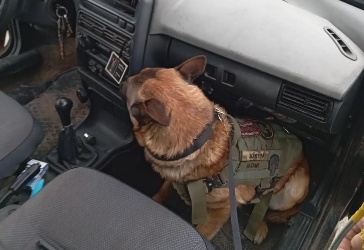 Віз вибухівку, годинник, телефон: пасажир автобуса Краматорськ – Харків виявився мародером.