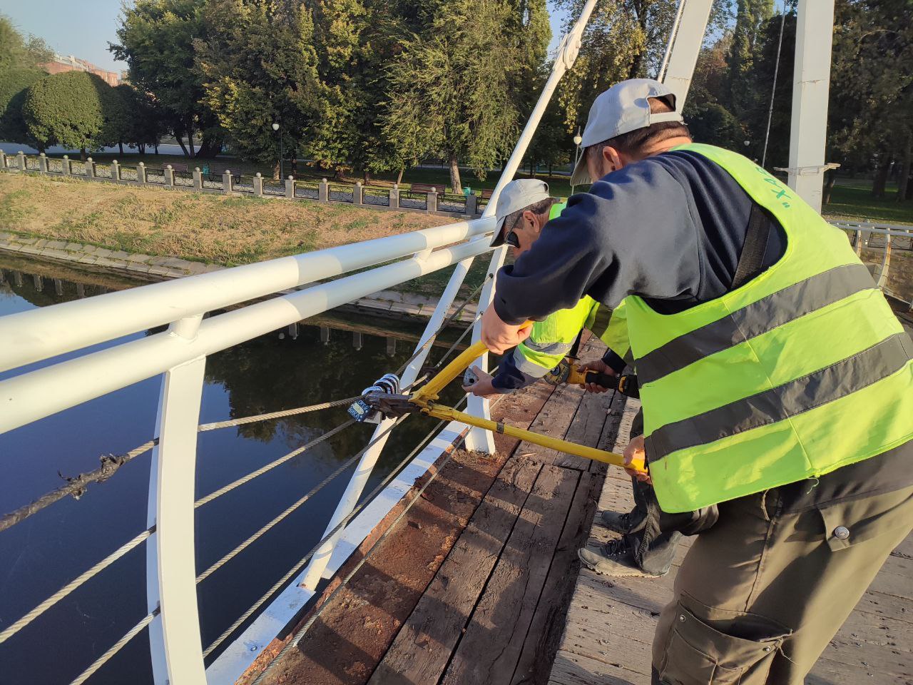 На підвісному мосту у сквері 