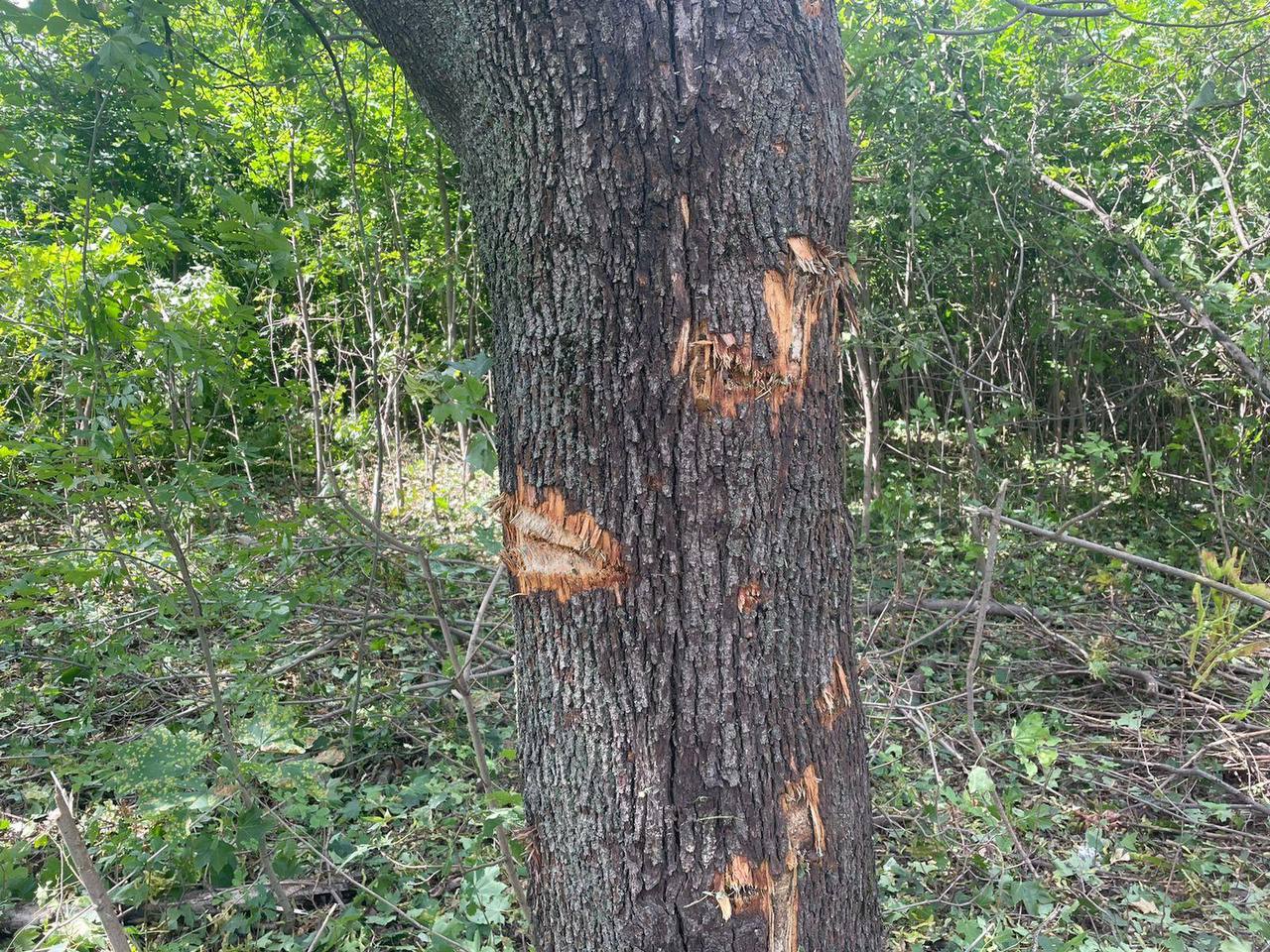 Обстреляли Индустриальный и Немышлянский районы: опубликованы фото разрушений.