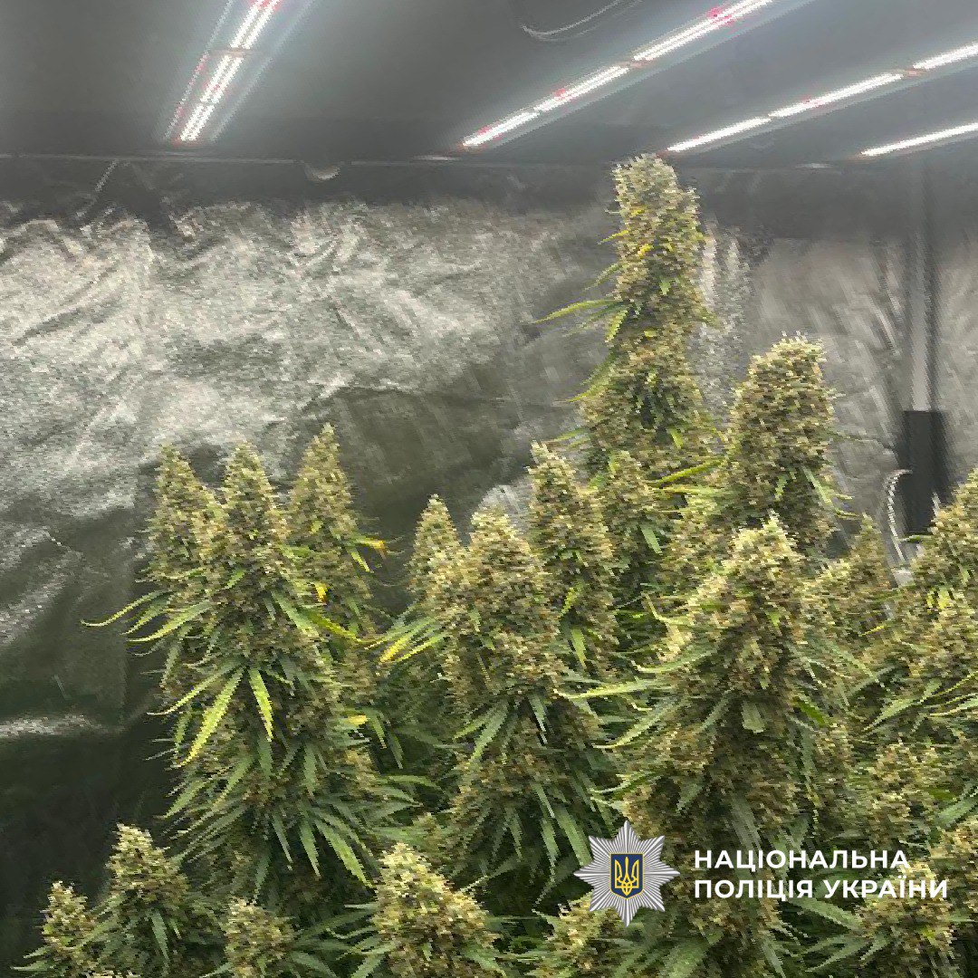 Харків'янин влаштував у квартирі нарколабораторію.