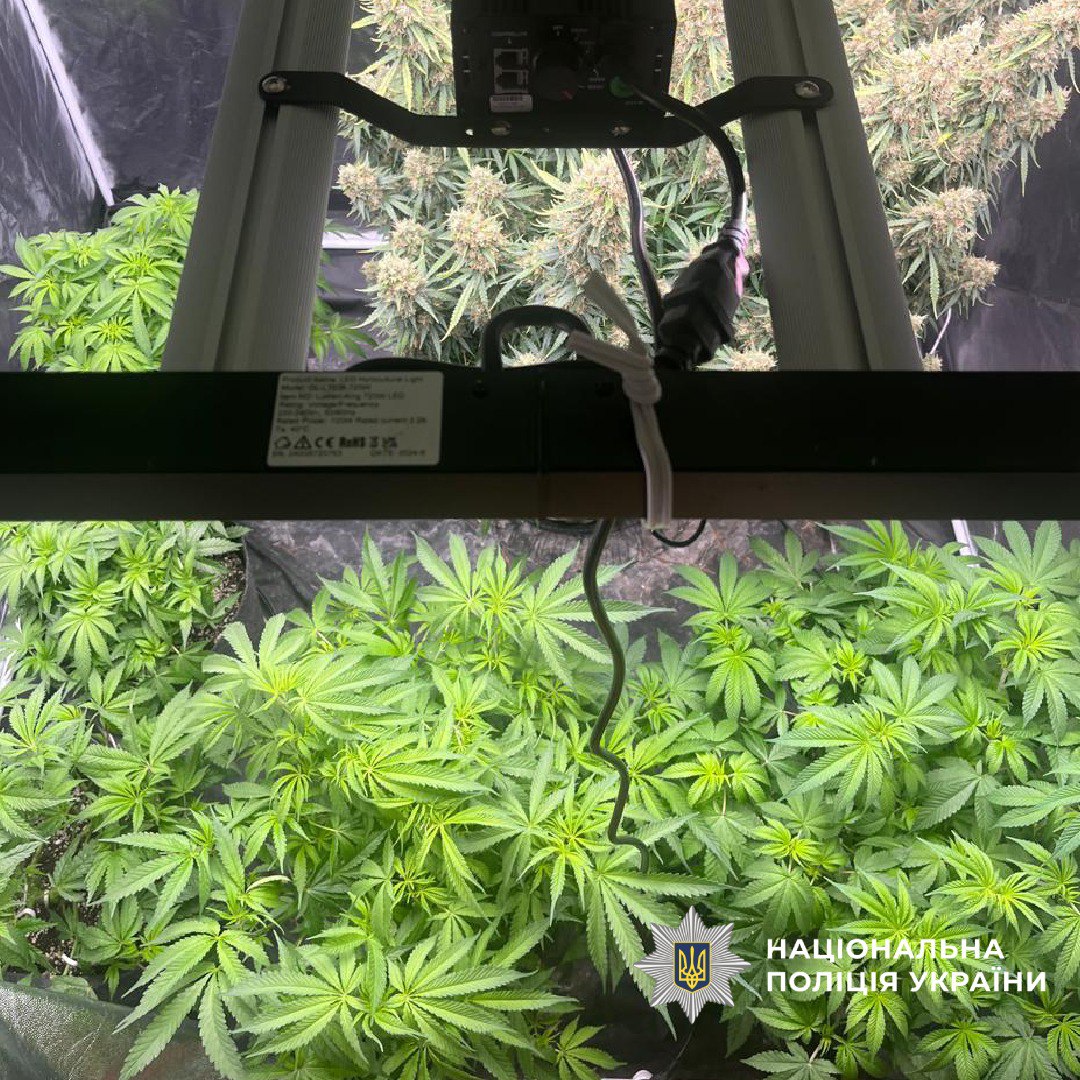 Харків'янин влаштував у квартирі нарколабораторію.