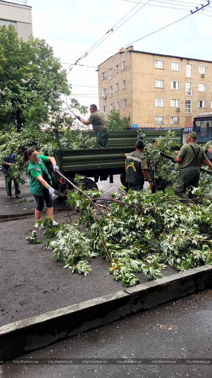 Поваленные деревья, оборванные провода: в Харькове и области оценивают ущерб от непогоды.