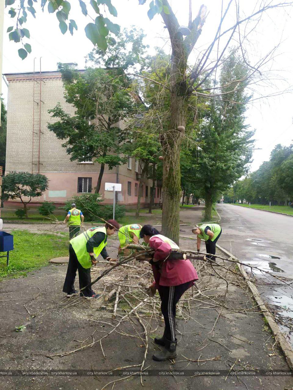 Поваленные деревья, оборванные провода: в Харькове и области оценивают ущерб от непогоды.