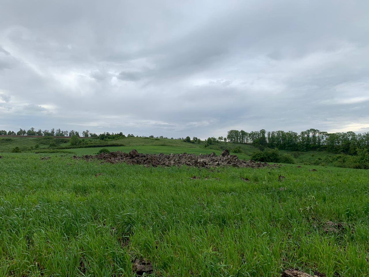 Трое раненых: Синегубов рассказал об обстрелах Харьковской области 22 мая.