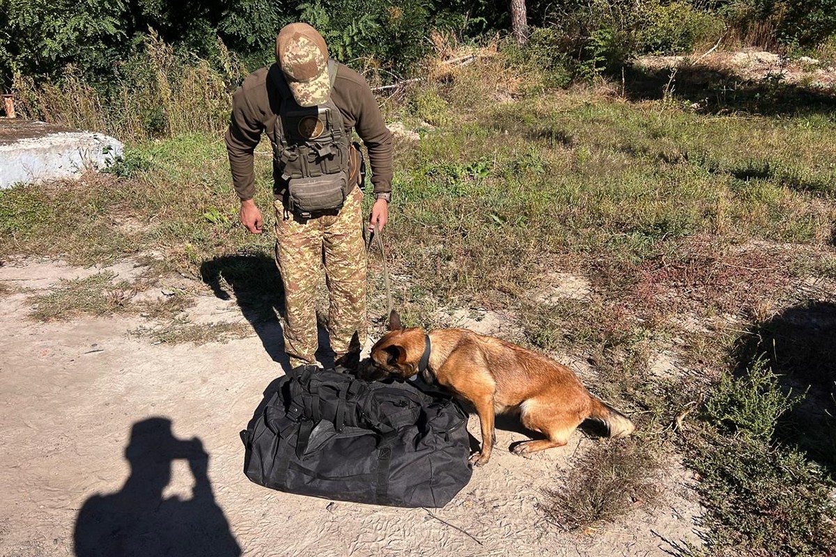 На блокпостах Харькова оружие находят даже в пассажирских автобусах &mdash; нацгвардейцы.