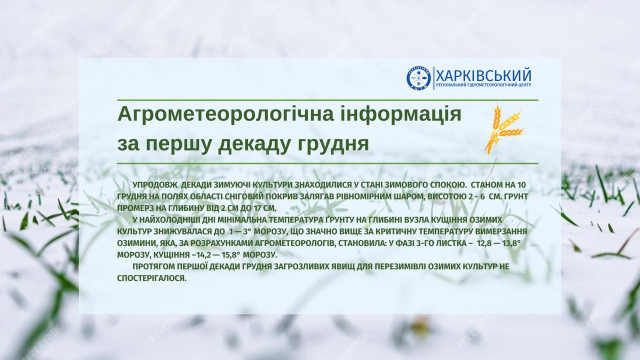 Какая погода будет в Харькове на этой неделе фото 1