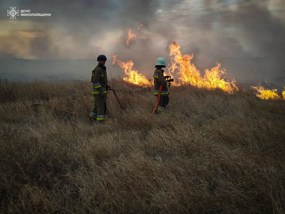 В Ізюмському районі десятий день борються із масштабною лісовою пожежею.