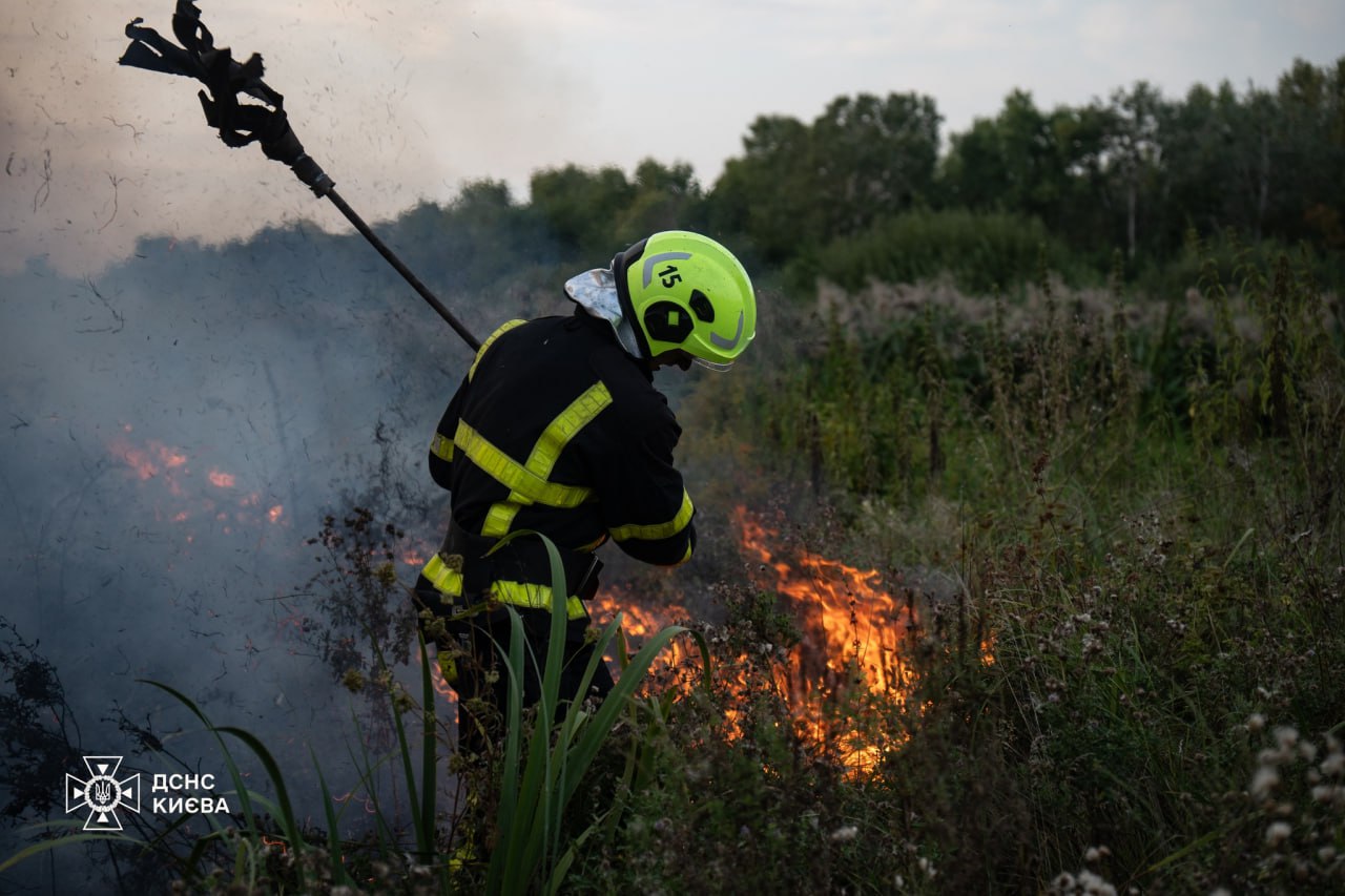 В Ізюмському районі десятий день борються із масштабною лісовою пожежею.