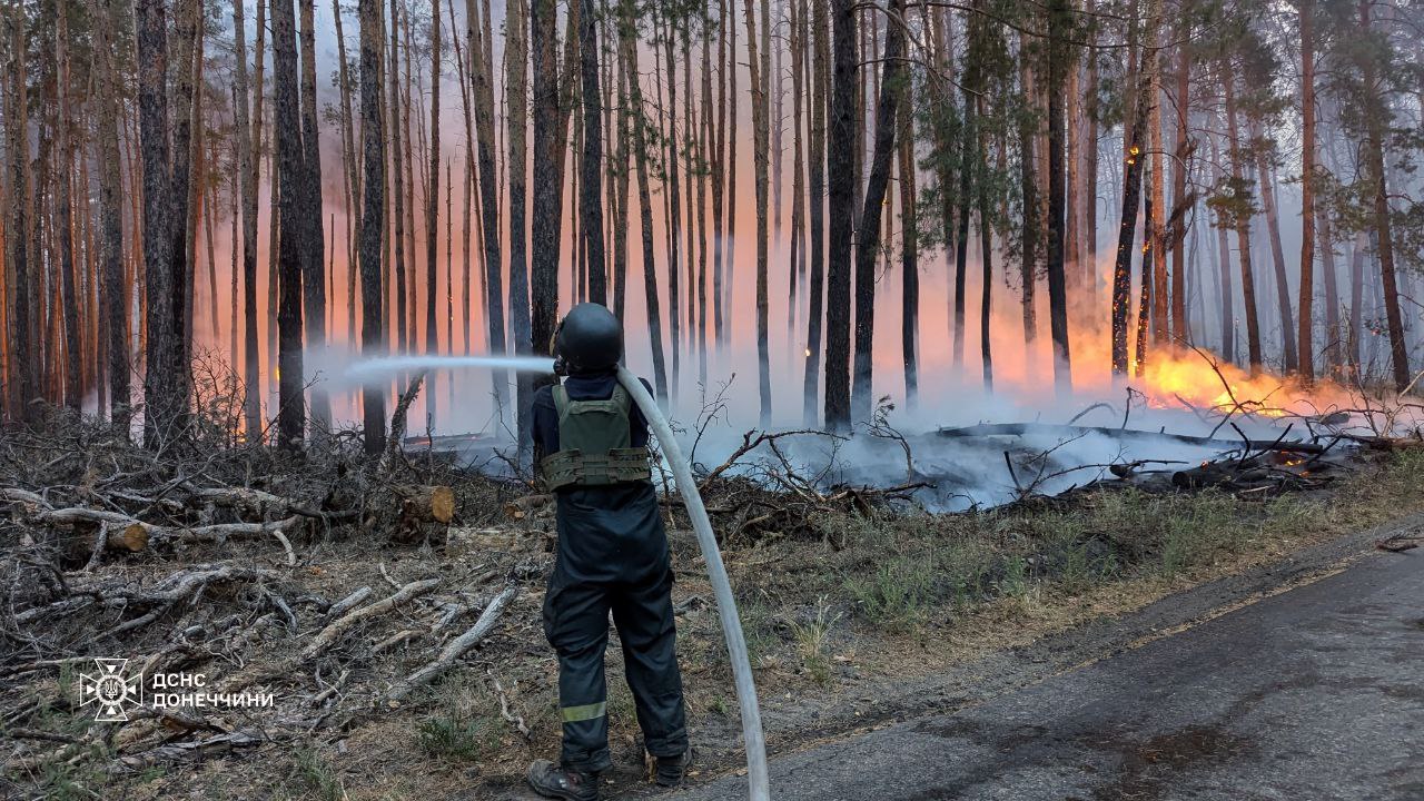 В Ізюмському районі десятий день борються із масштабною лісовою пожежею.