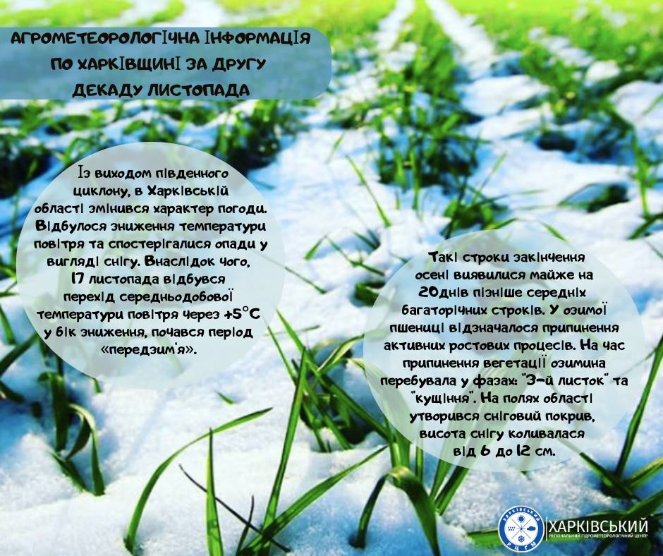 У Харкові та області випав сильний сніг (фото) фото 3 2