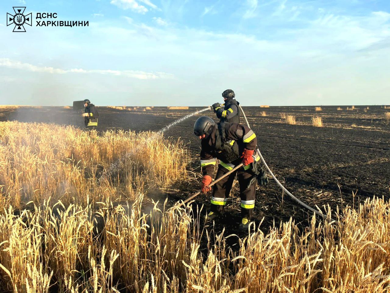 Окупанти спалили ще одне поле із пшеницею у Харківській області.