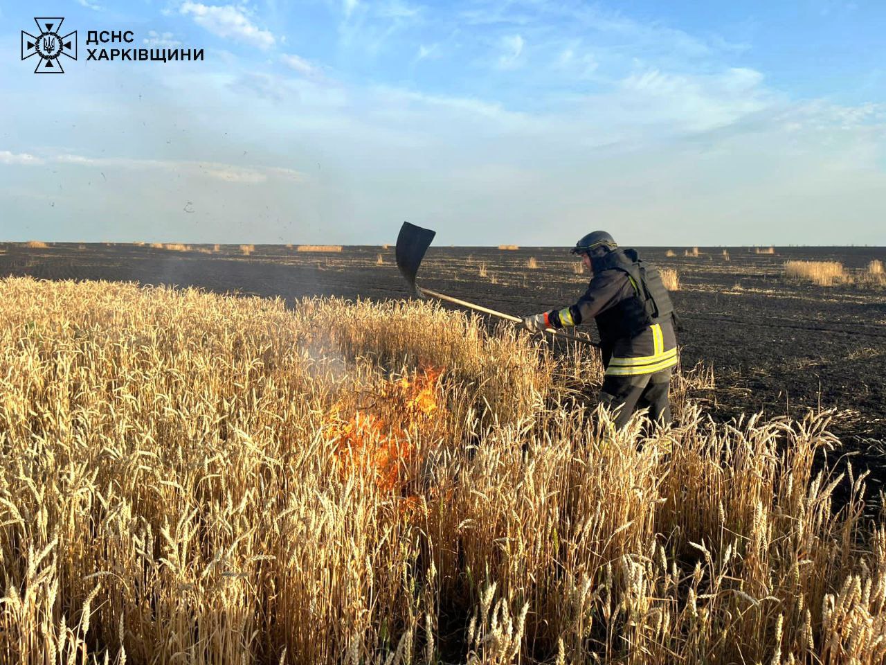 Окупанти спалили ще одне поле із пшеницею у Харківській області.