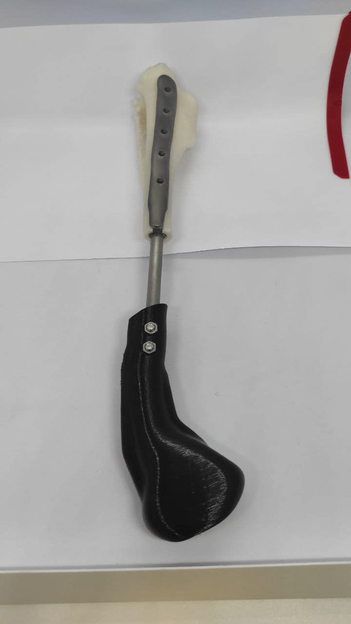 У Харкові пораненому собаці вперше встановили біоінтегрований протез.